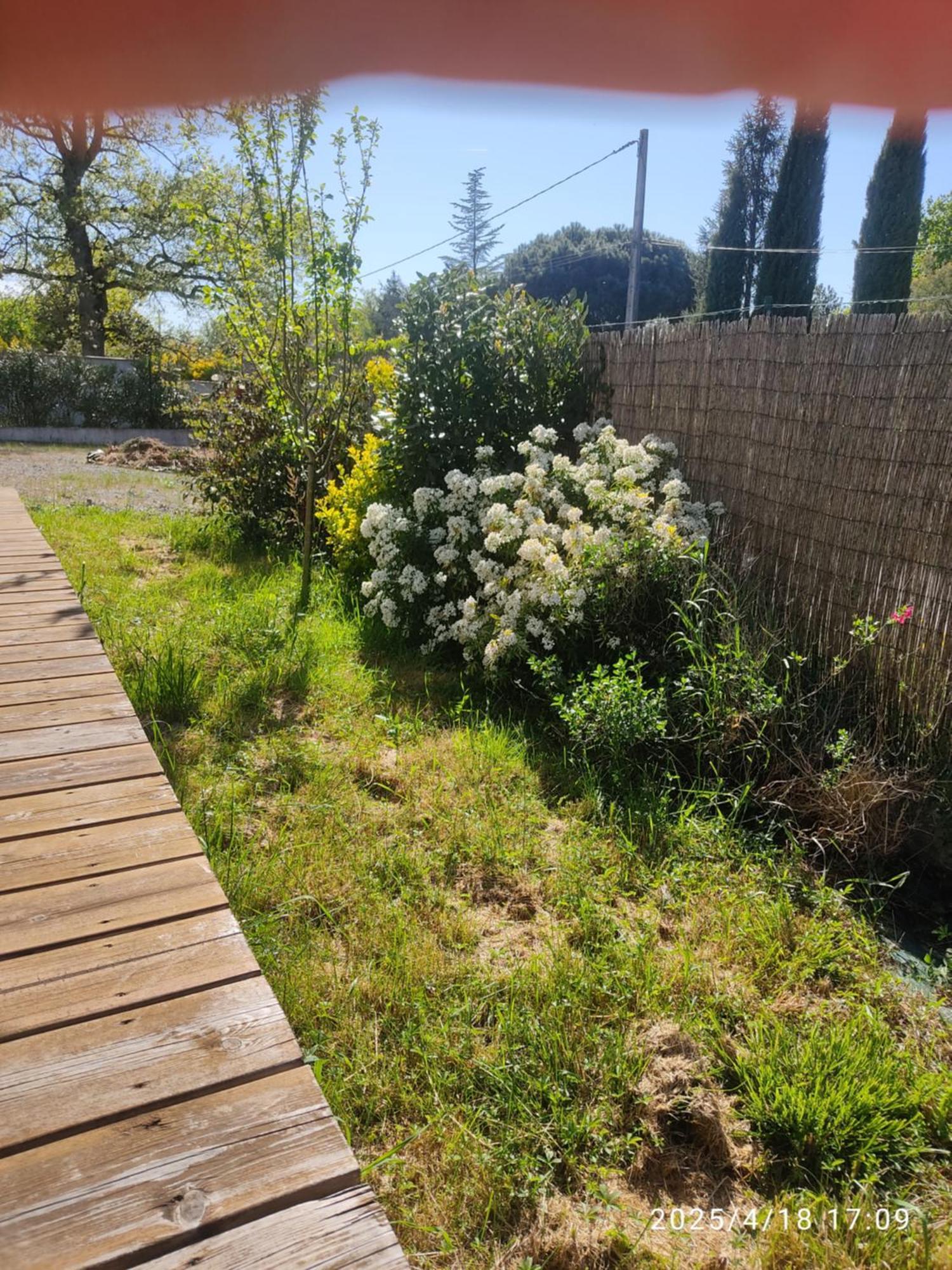 Chambre 20M2 Avec Salle De Bain Privee Dans Maison En Bois Lavaur (Tarn) Exterior foto